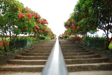 Quezon  City La Mesa Eco Park